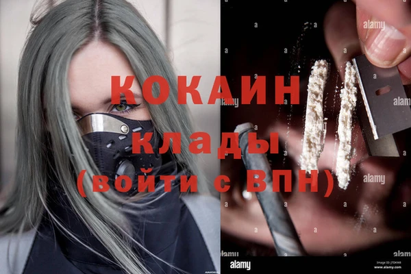 дурь Алексин
