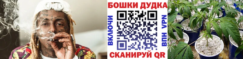 Бошки марихуана Bruce Banner  мориарти состав  Грайворон 